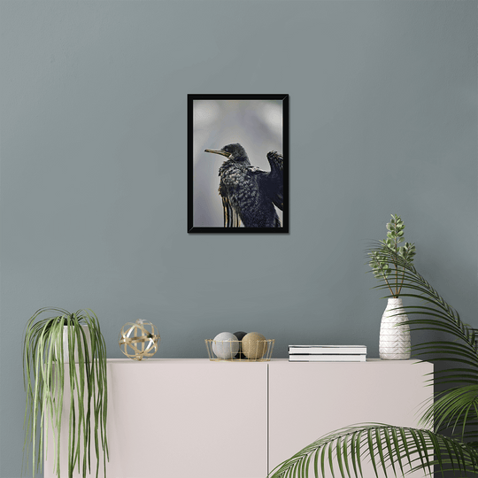 Indian Darter Poster