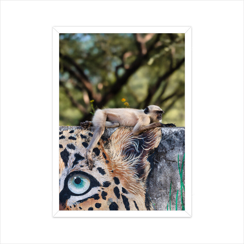 A Monkey on Leopard painted wall Poster