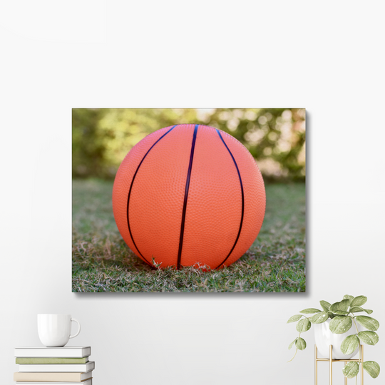 The Ball Fine Art Print