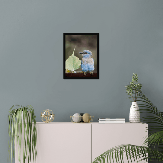 A European Roller Perching Print