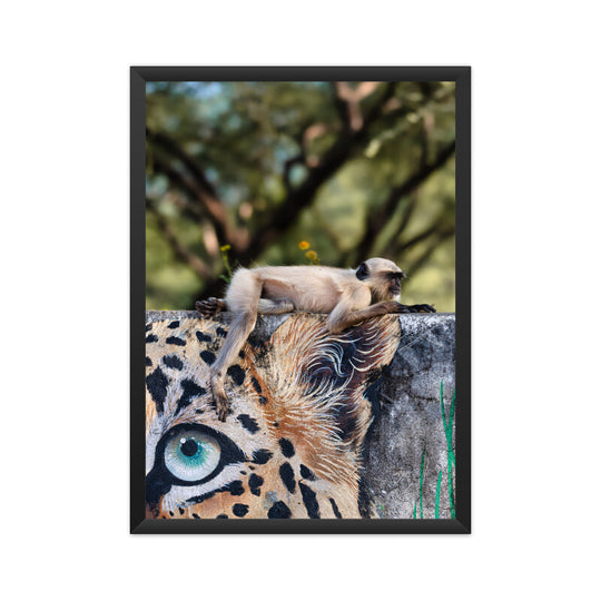 A Monkey on Leopard painted wall Poster