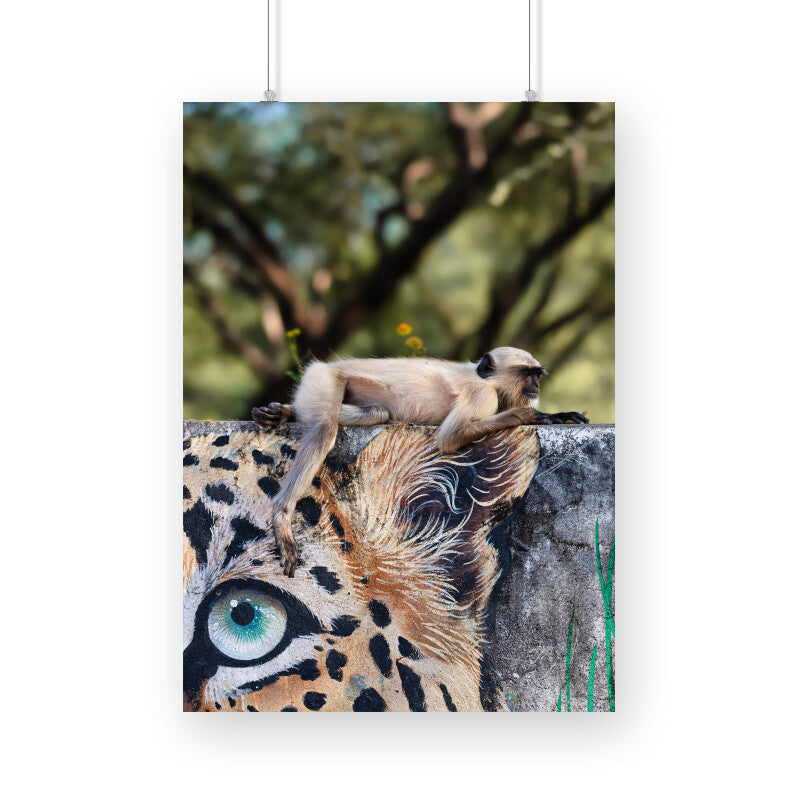 A Monkey on Leopard painted wall Poster