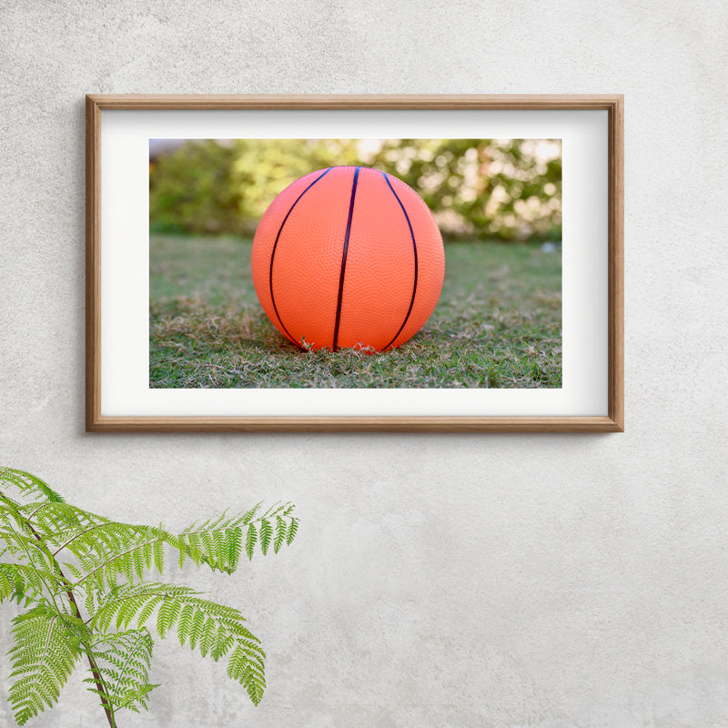 The Ball Fine Art Print