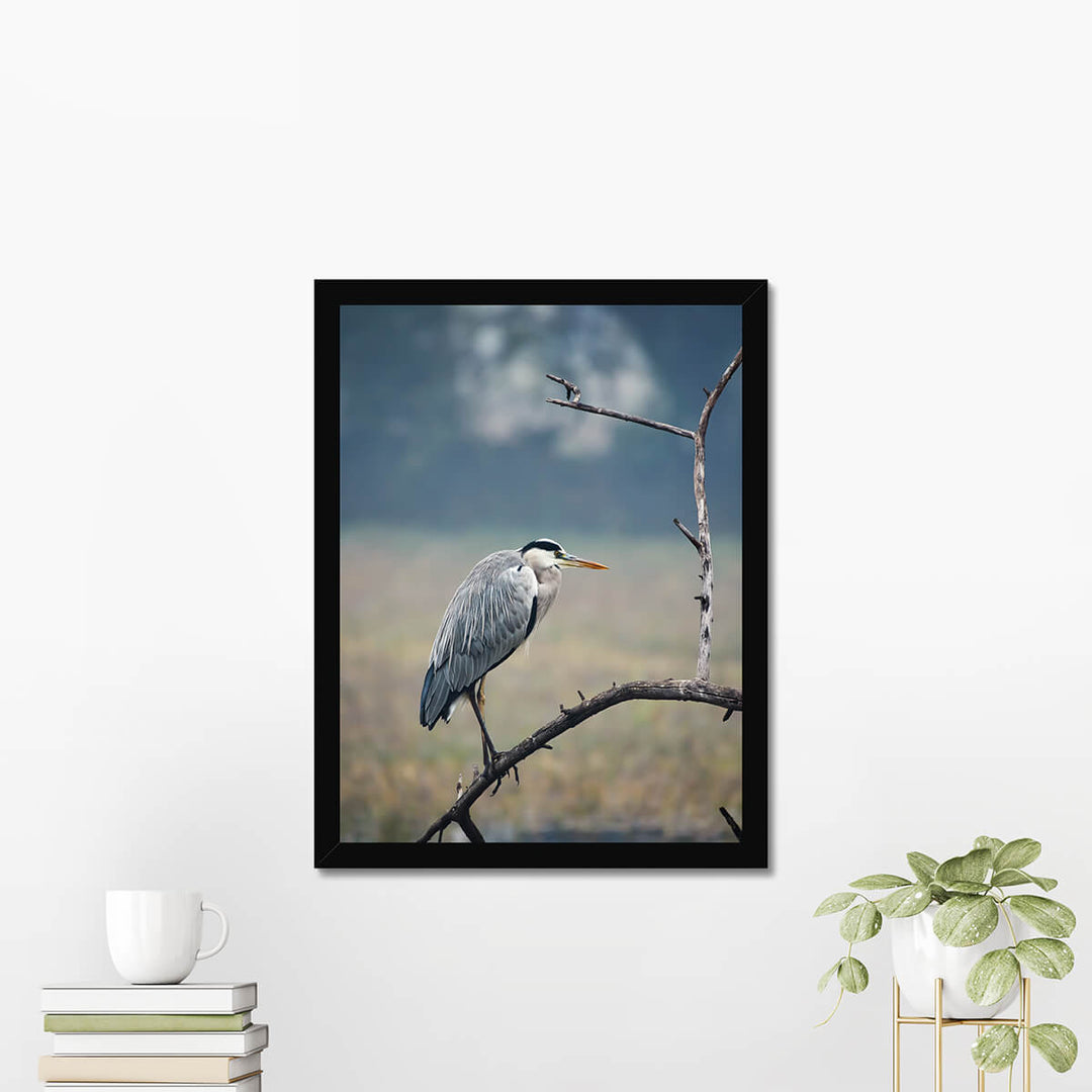 Grey Heron Poster