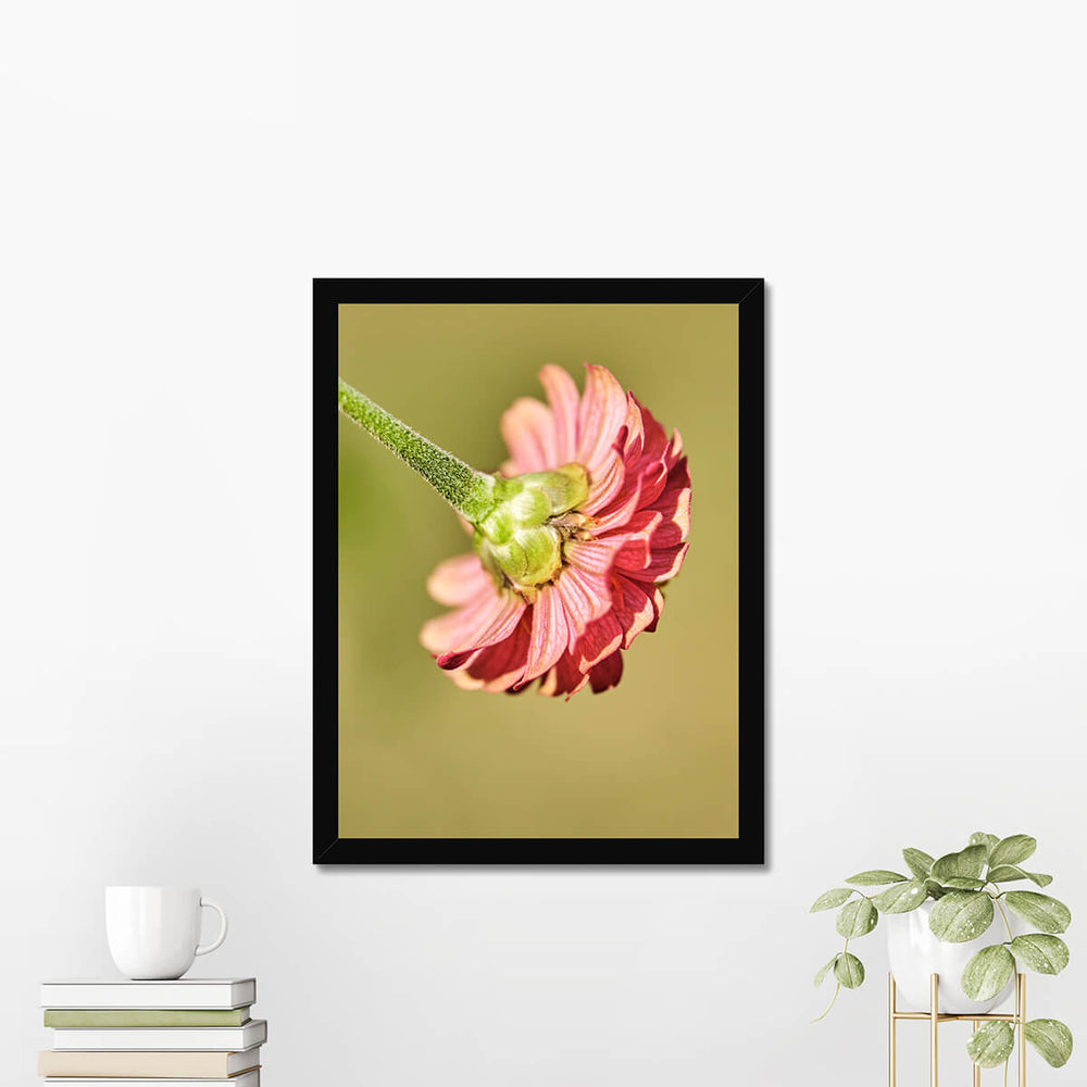 Pink Flower Poster