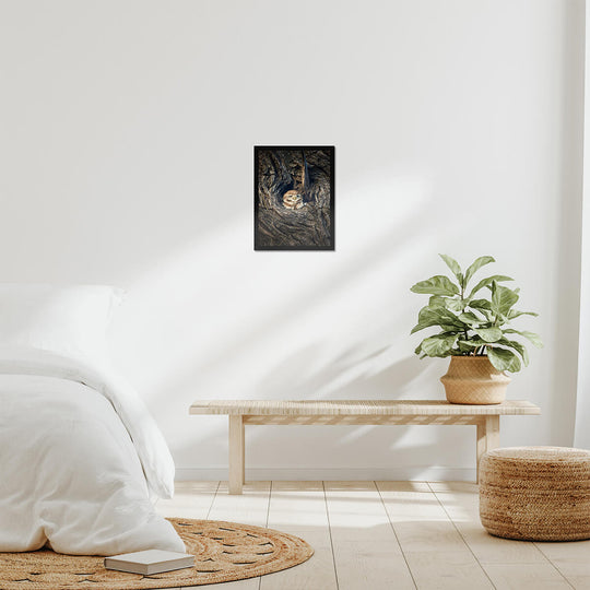 Spotted Owlet Poster