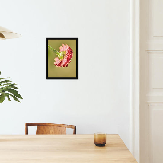 Pink Flower Poster