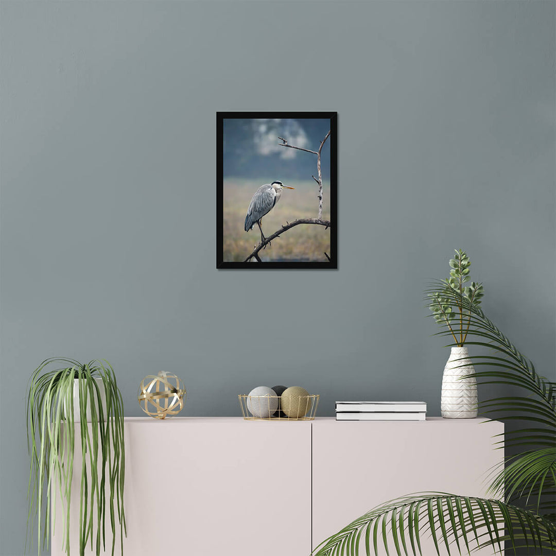 Grey Heron Poster