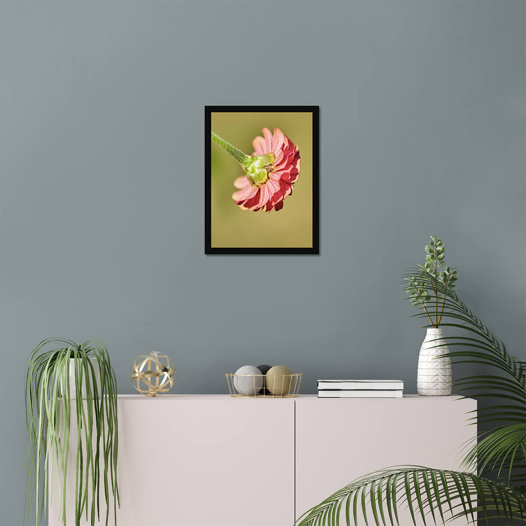 Pink Flower Poster