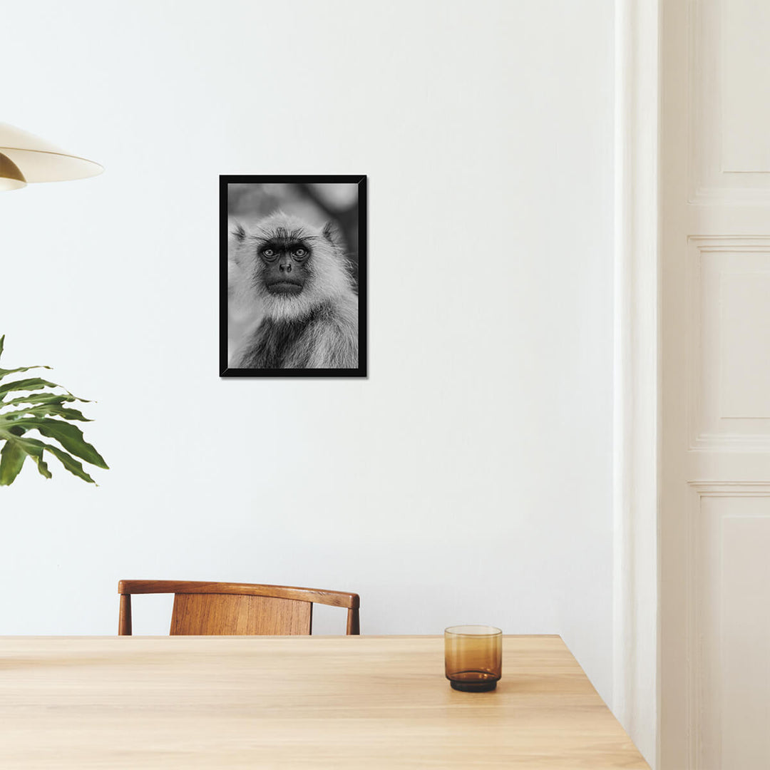 Monkey's Portrait Prints