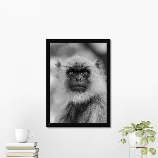 Monkey's Portrait Prints